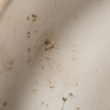 PIEDESTAL