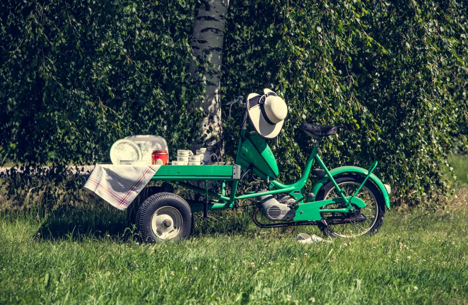 FLAKMOPED
