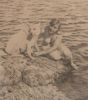 ANDERS ZORN