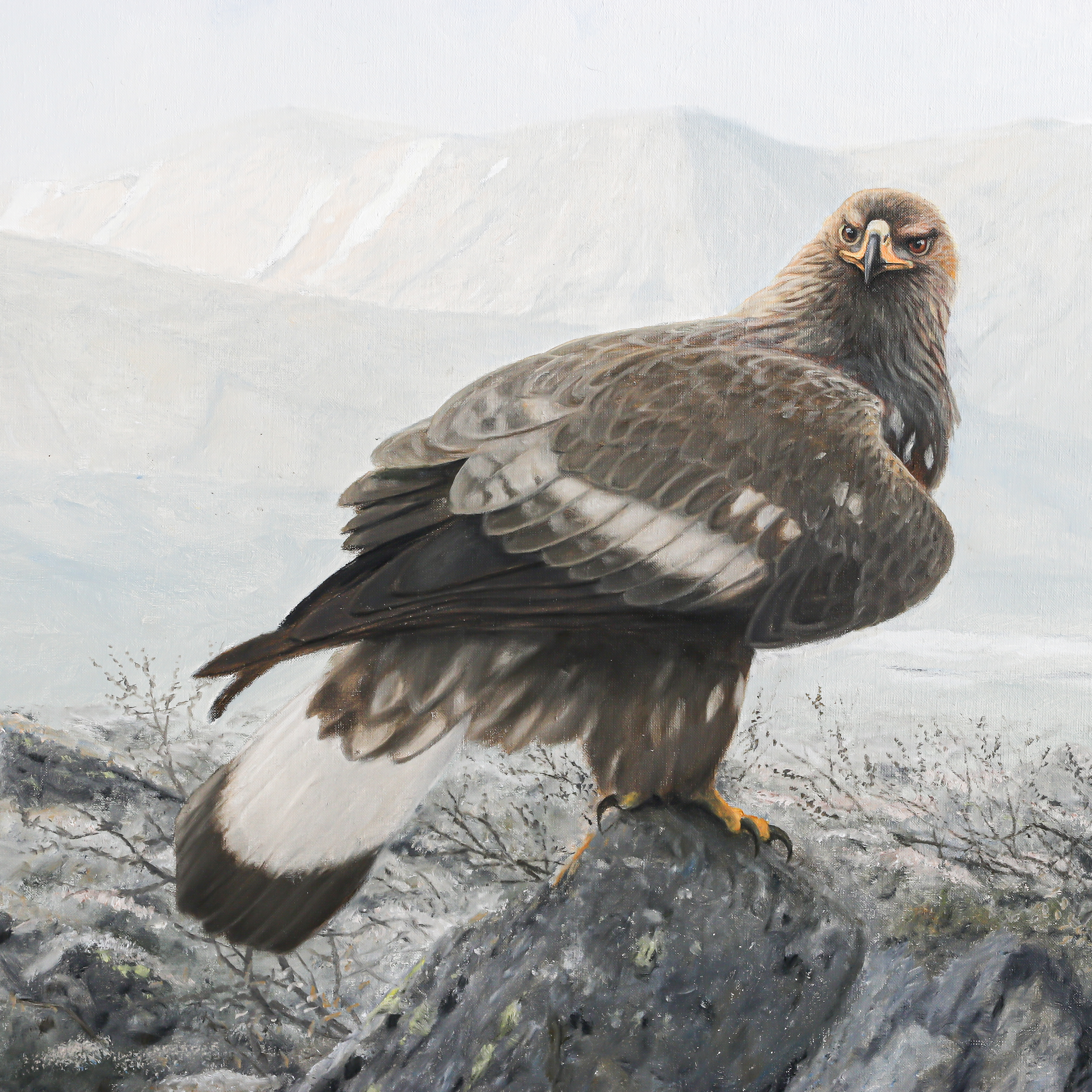 MARSAUKTION 14/3 11:00